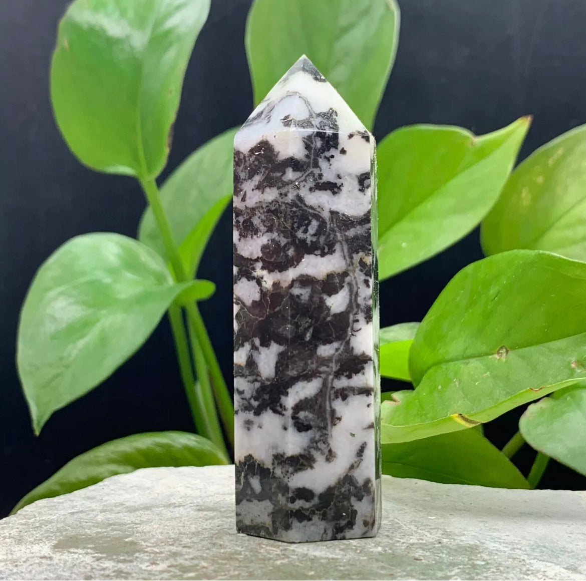 Natural Zebra Gemstone Rough crystal quartz wand point obelisk