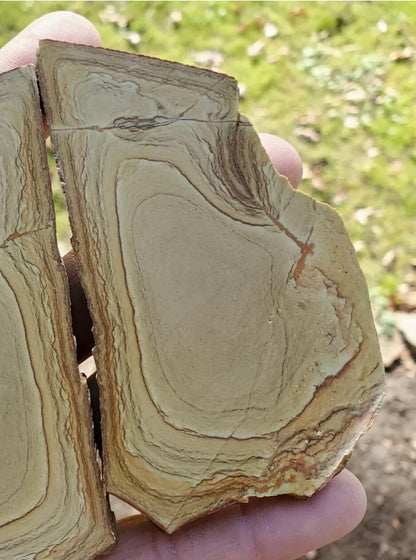 Natural Craig Gulch Yellow Picture Jasper