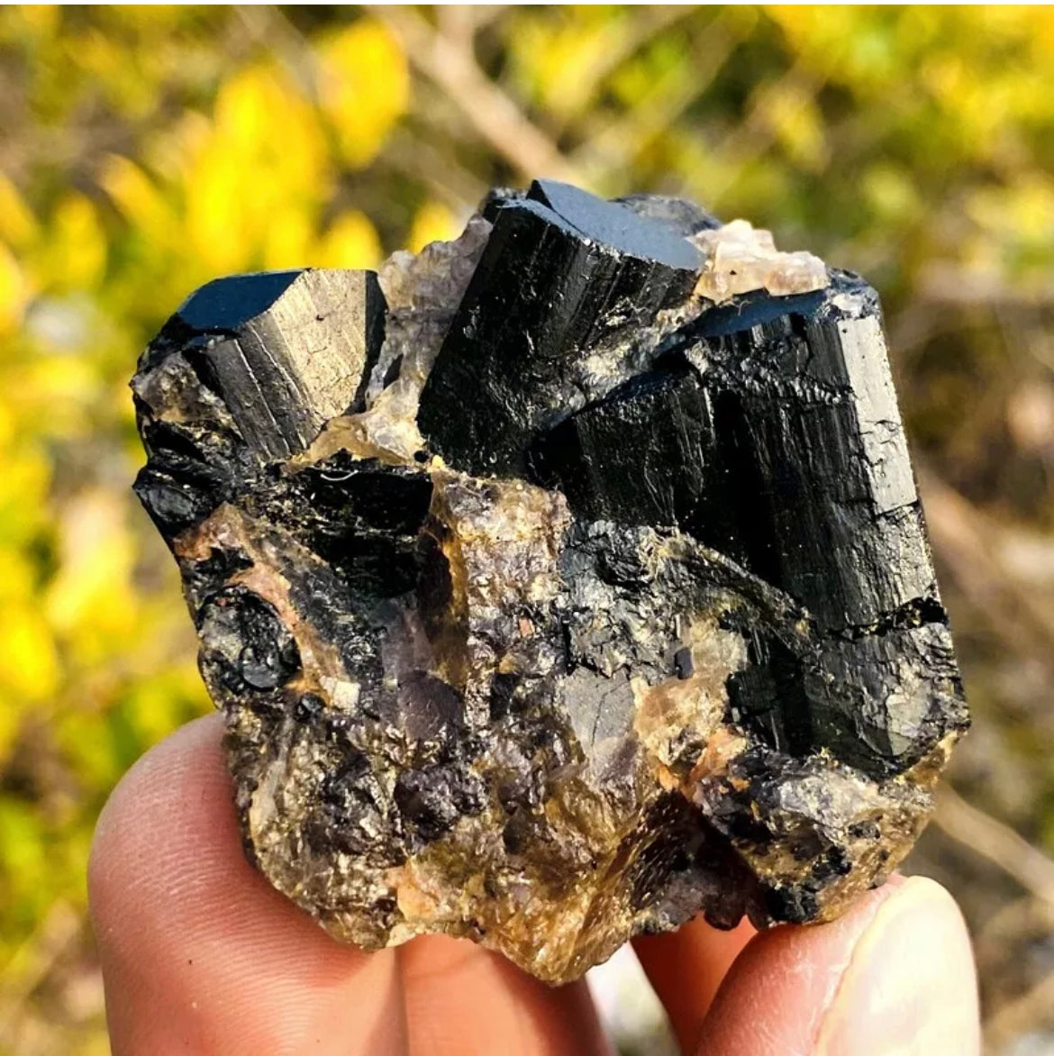 Natural black tourmaline quartz crystal mineral specimen