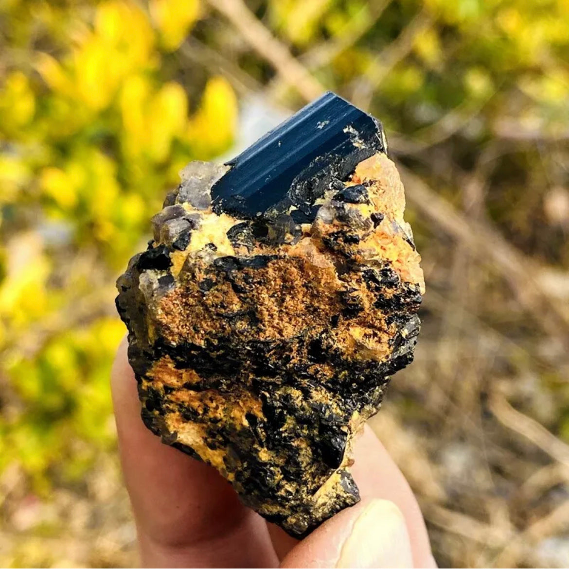 Natural black tourmaline quartz gemstone crystal mineral specimen