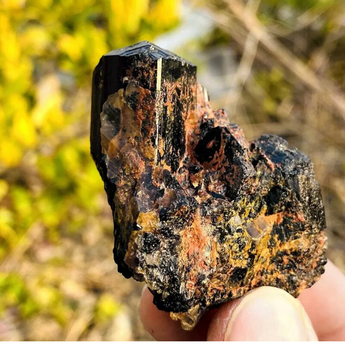 Natural black tourmaline quartz crystal mineral specimen