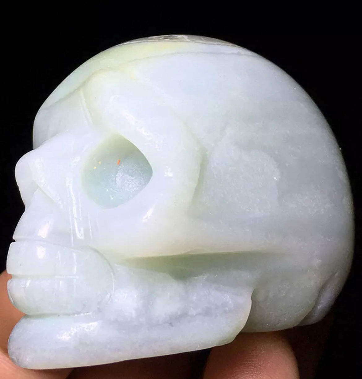 Caribbean Blue aragonite blue calcite skull