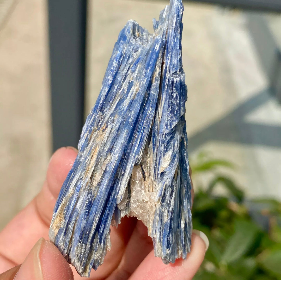 Natural Crystal Kyanite Rough Form