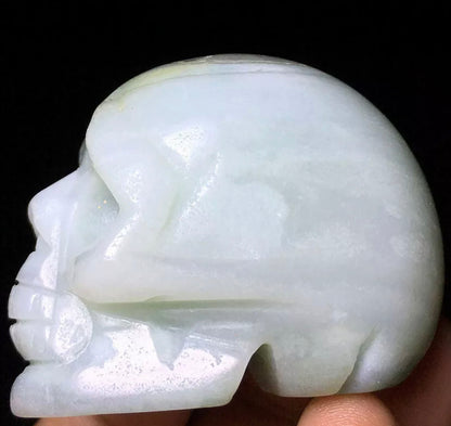 Caribbean Blue aragonite blue calcite skull