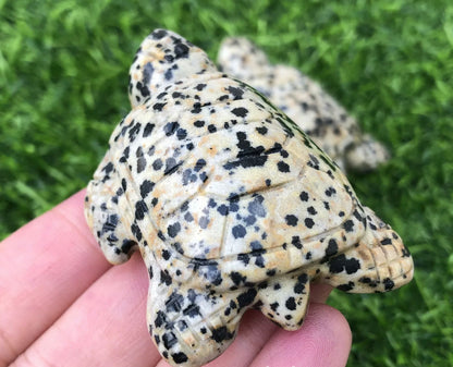 Natural Dalmatian Jasper Turtle