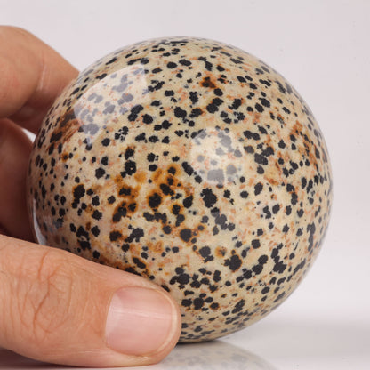 Natural Semiprecious gemstone Dalmatian Jasper crystal Ball sphere