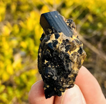 Natural black tourmaline quartz gemstone crystal mineral specimen