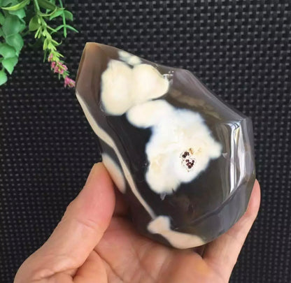 Natural Orca Agate gemstone carved Flame