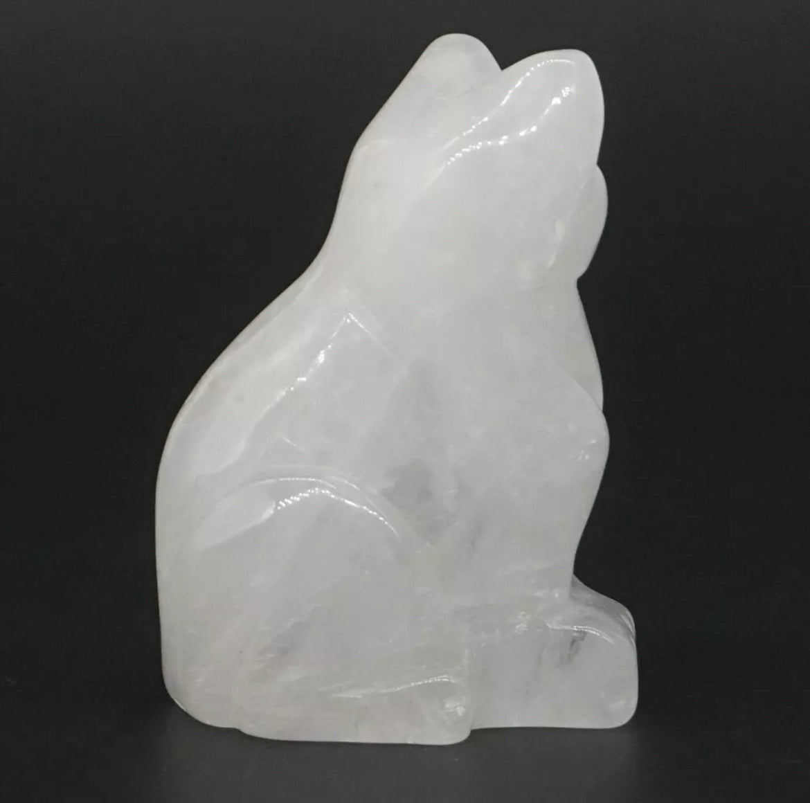 Natural clear Quartz cat
