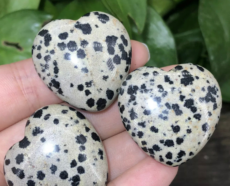 Natural Dalmatian Jasper Hearr