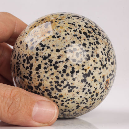 Natural Semiprecious gemstone Dalmatian Jasper crystal Ball sphere reiki healing