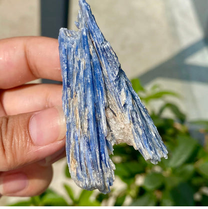 Natural Crystal Kyanite Rough Form