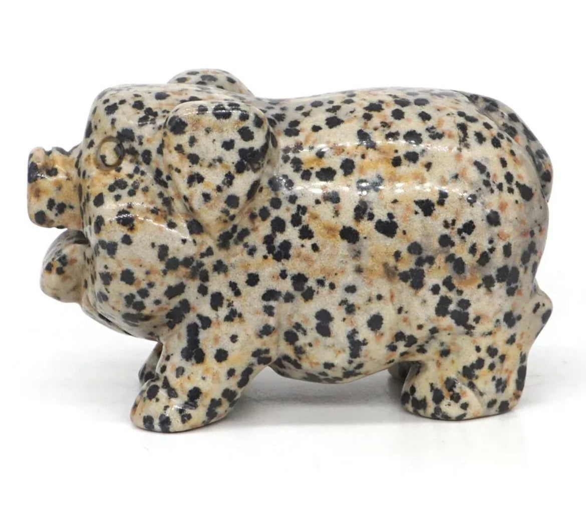 Natural Dalmatian Jasper Pig