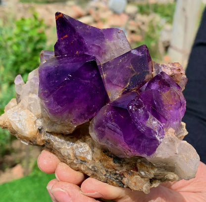 Natural Amethyst gemstone geode cluster crystal specimen