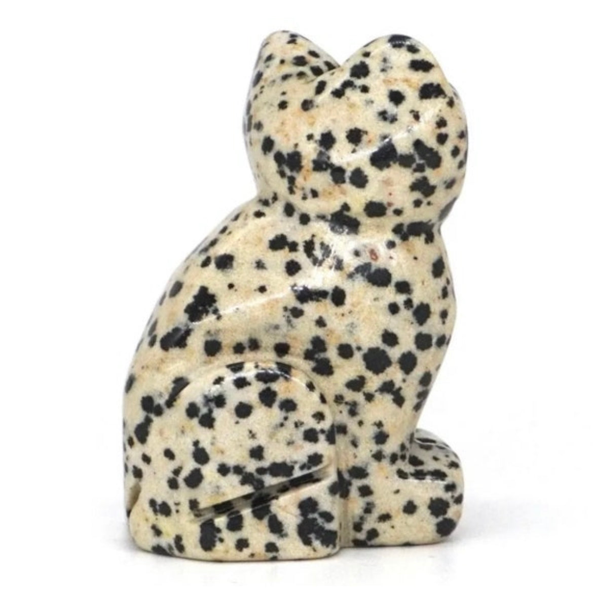 Natural Dalmatian Jasper Kitty Cat