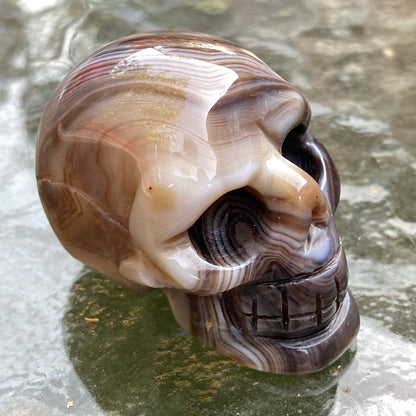 Natural Black Agate Gemstone Skull