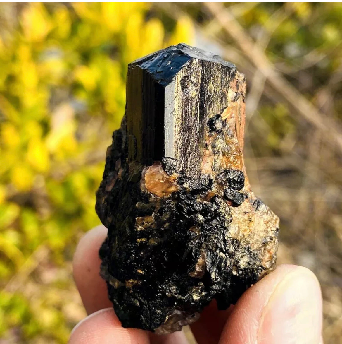 Natural black tourmaline quartz crystal mineral specimen