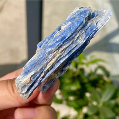 Natural Crystal Kyanite Rough Form