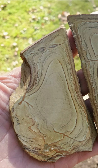 Natural Craig Gulch Yellow Picture Jasper