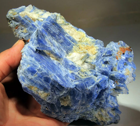 Natural Deep Blue Kyanite Crystals in Quartz