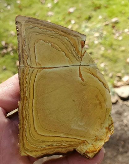 Natural Craig Gulch Yellow Picture Jasper