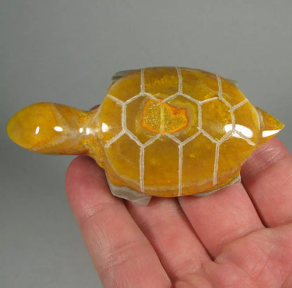 Rare Natural  Bumblebee Jasper Turtle