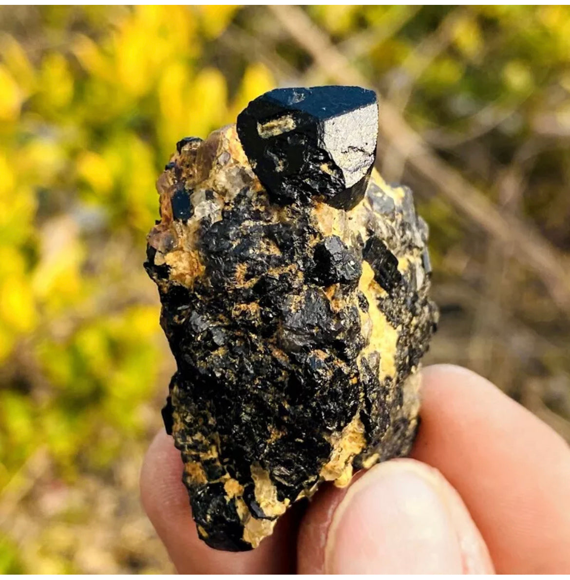 Natural black tourmaline quartz gemstone crystal mineral specimen