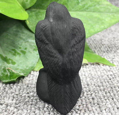 Natural Black Obsidian Raven Crow