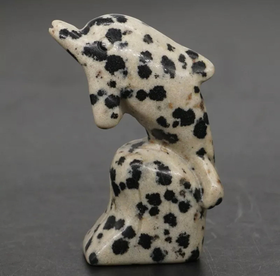 Natural Dalmatian Jasper Dolphin