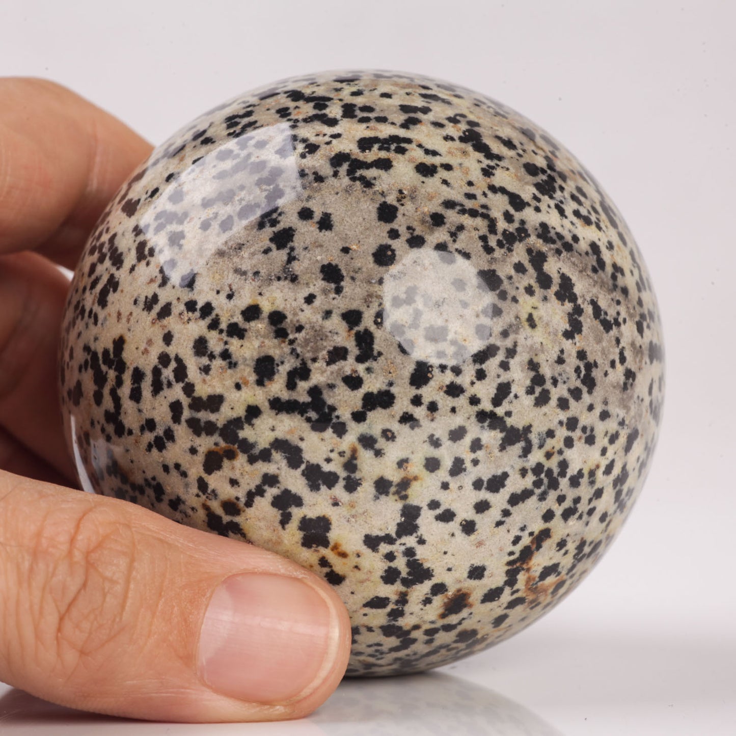 Natural Semiprecious gemstone Dalmatian Jasper crystal Ball sphere reiki healing