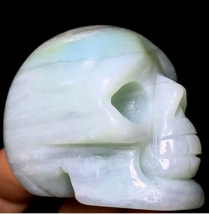 Caribbean Blue aragonite blue calcite skull