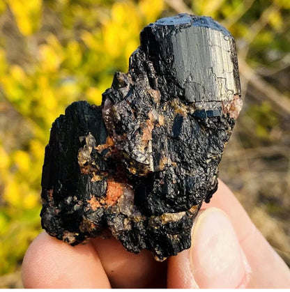 Natural black tourmaline quartz crystal mineral specimen