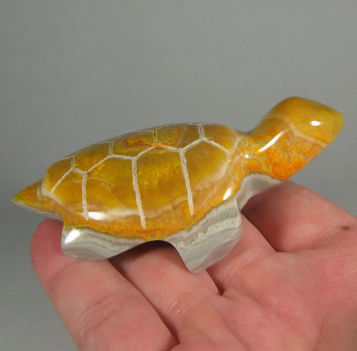 Rare Natural  Bumblebee Jasper Turtle