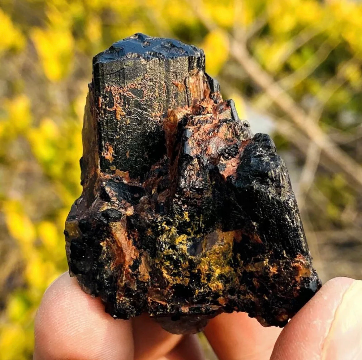 Natural black tourmaline quartz crystal mineral specimen