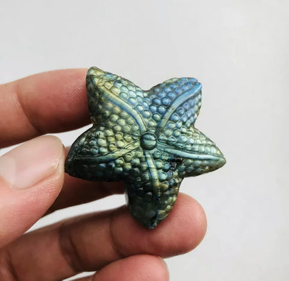 Natural Labradorite Starfish Crystal