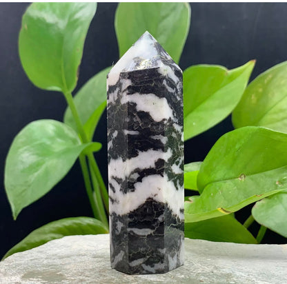 Natural Zebra Gemstone Rough crystal quartz wand point obelisk