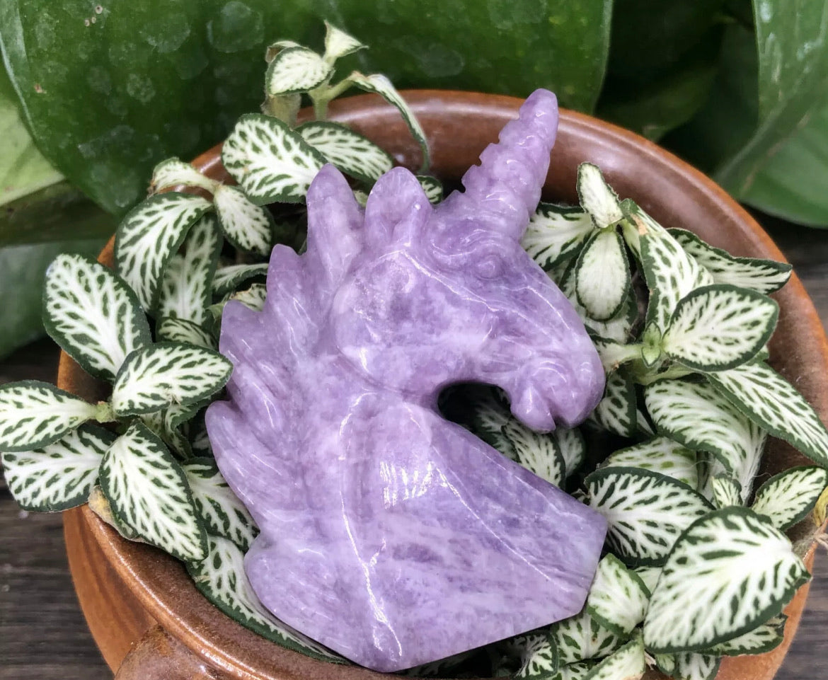 Natural Ussungite purple gemstone carved Unicorn