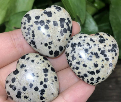 Natural Dalmatian Jasper Hearr