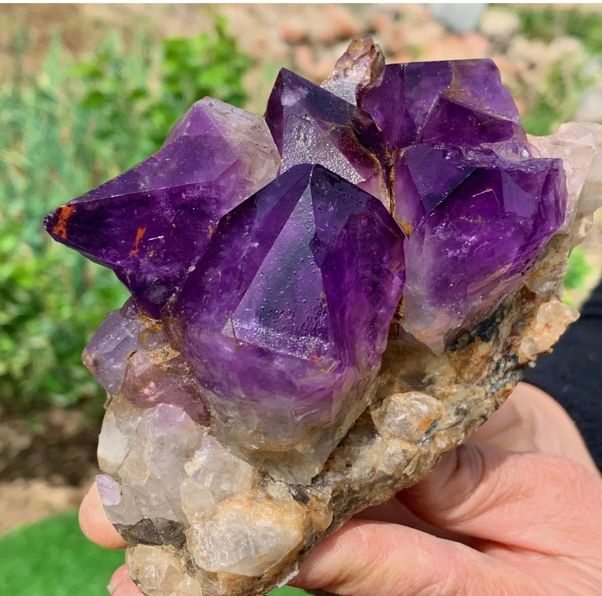 Natural Amethyst gemstone geode cluster crystal specimen