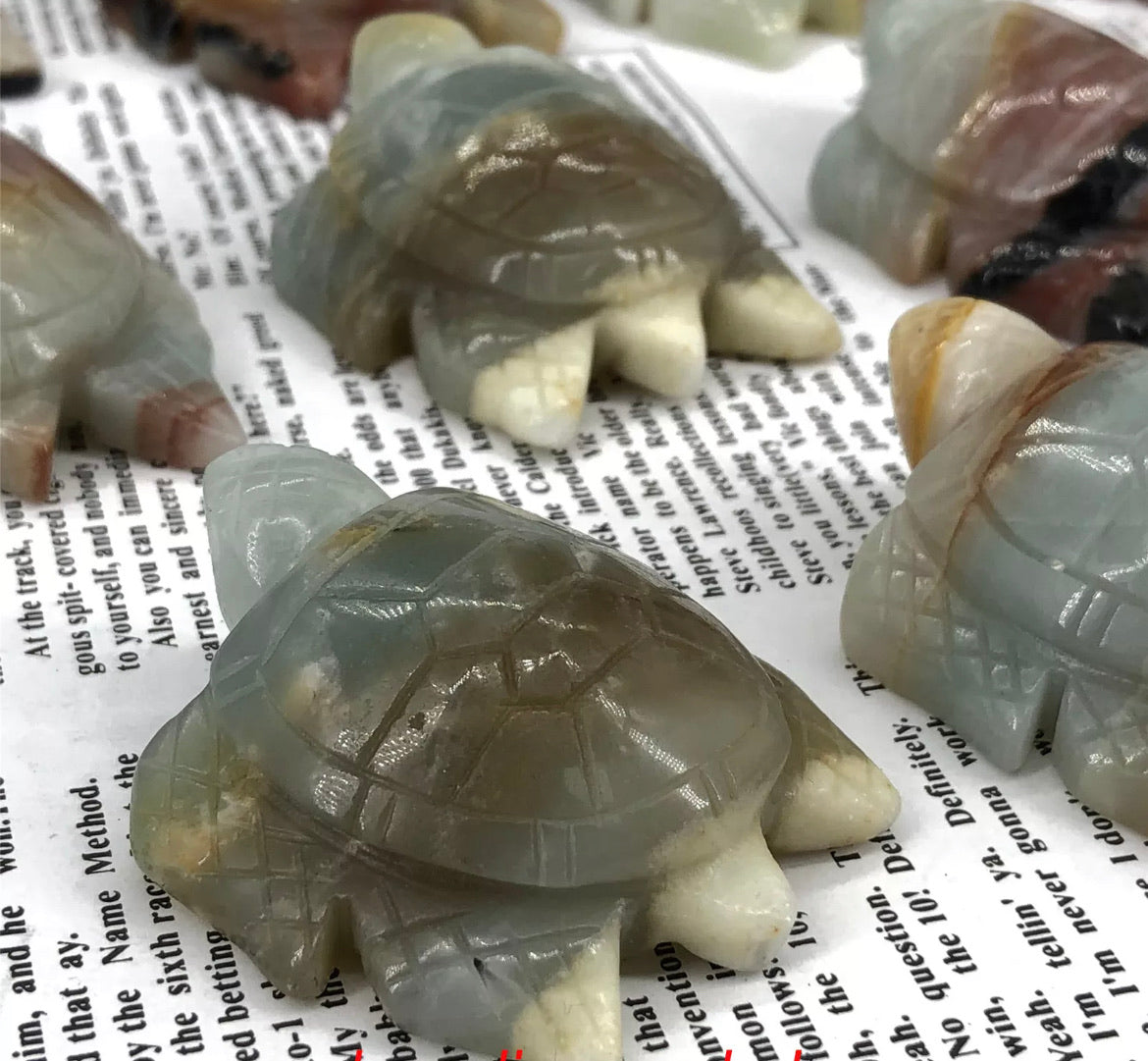 Natural Amazonite Tortoise