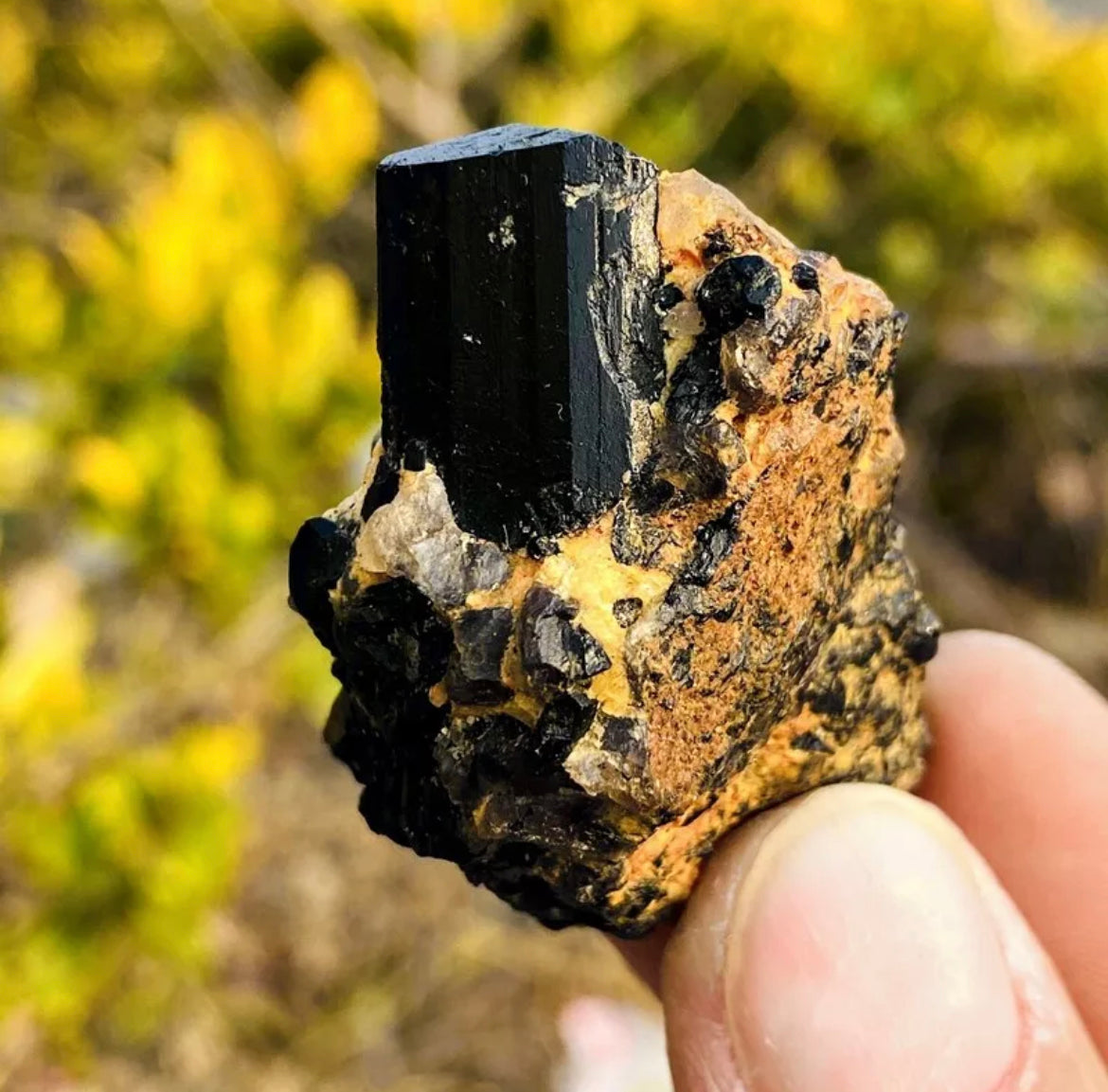 Natural black tourmaline quartz gemstone crystal mineral specimen