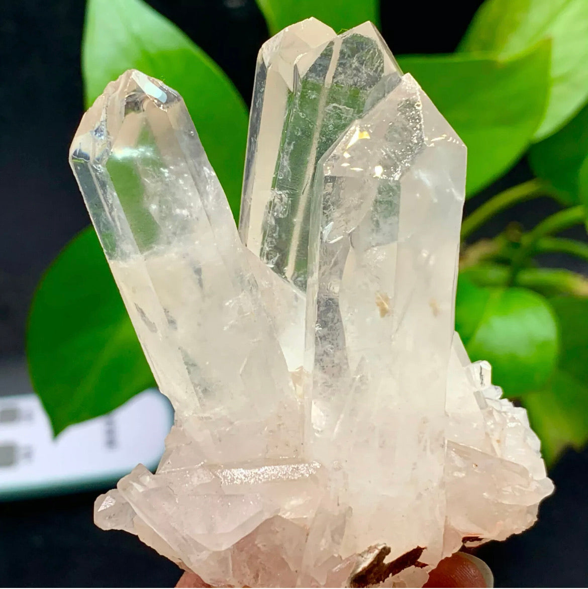 Large Himalayan high-grade quartz clusters / mineralsls healing