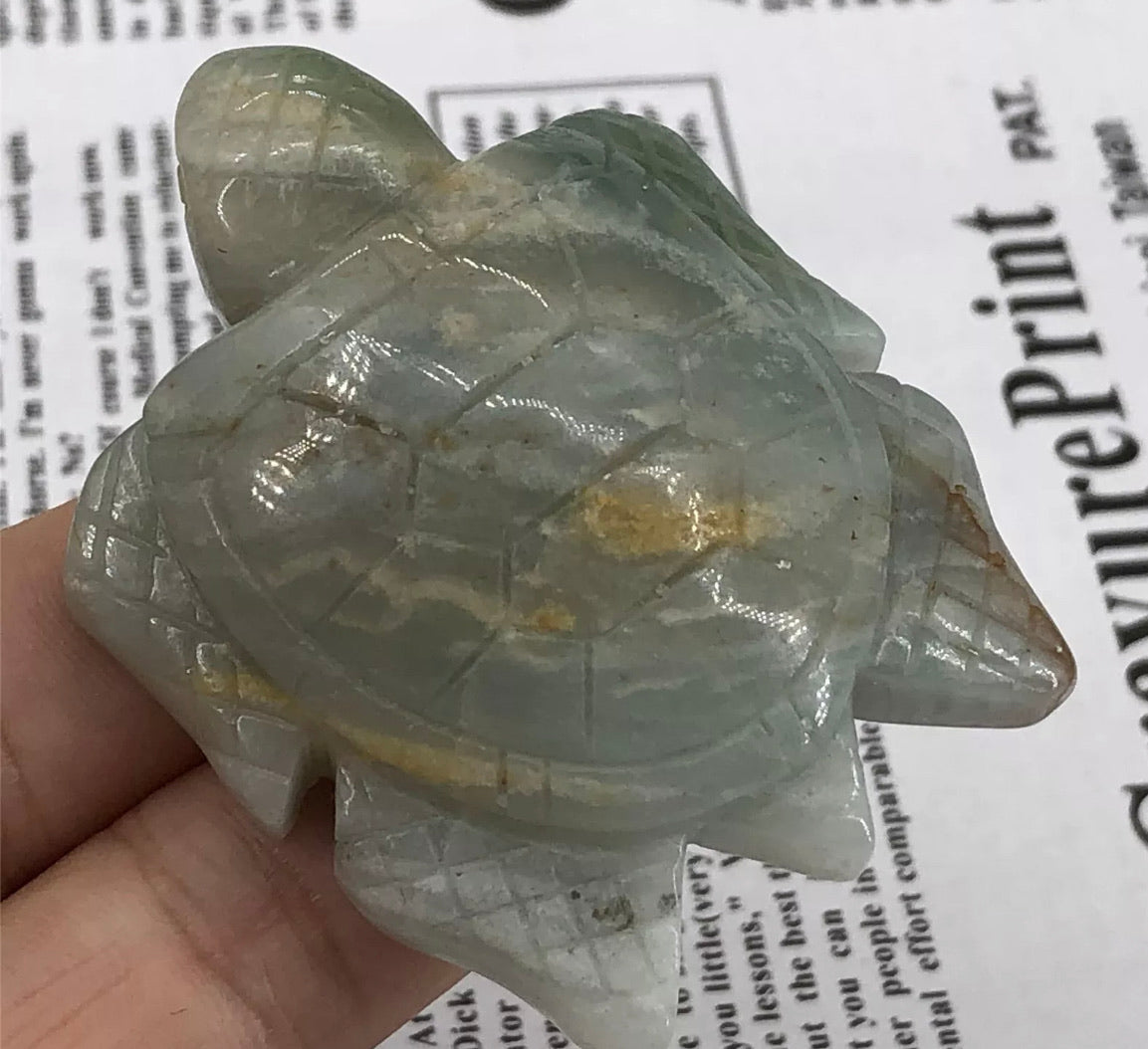 Natural Amazonite Tortoise