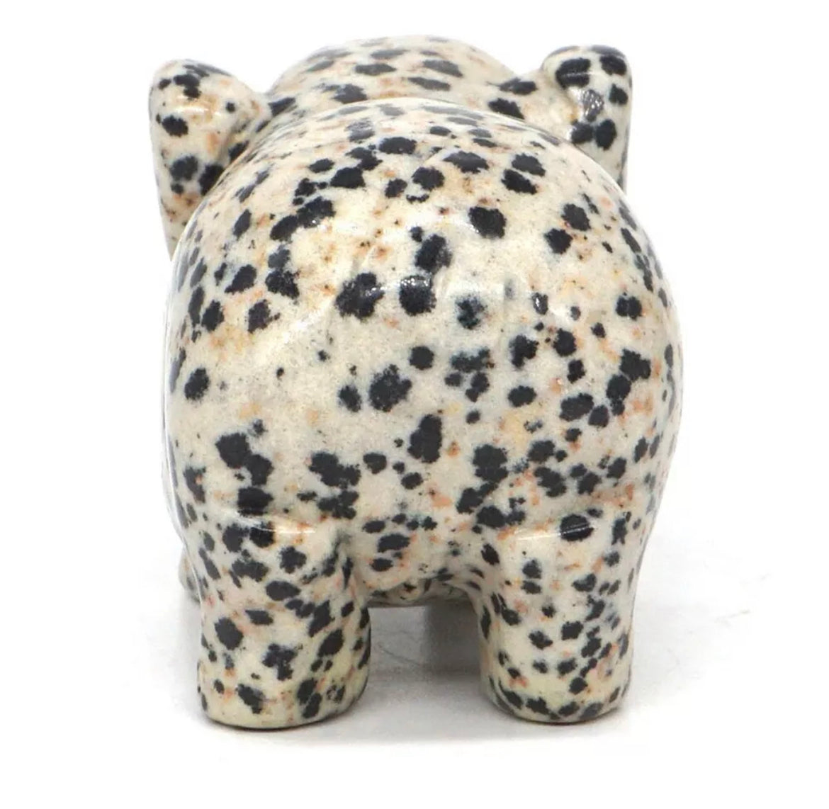 Natural Dalmatian Jasper Pig