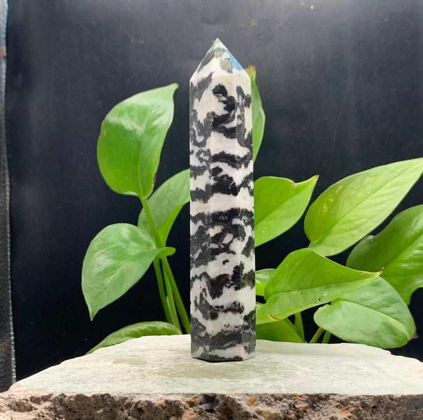 Natural Zebra Stone Rough crystal quartz wand piont obelisk healing