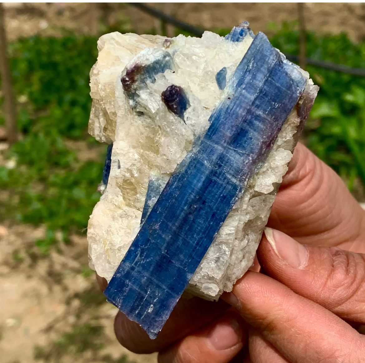 Natural Kyanite in Quartz