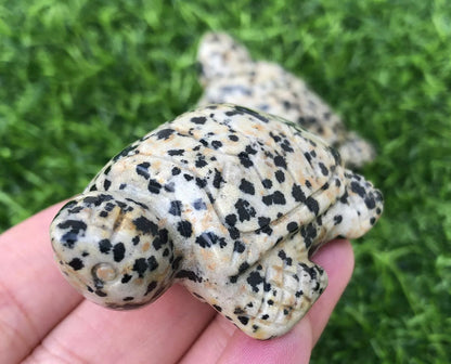 Natural Dalmatian Jasper Turtle