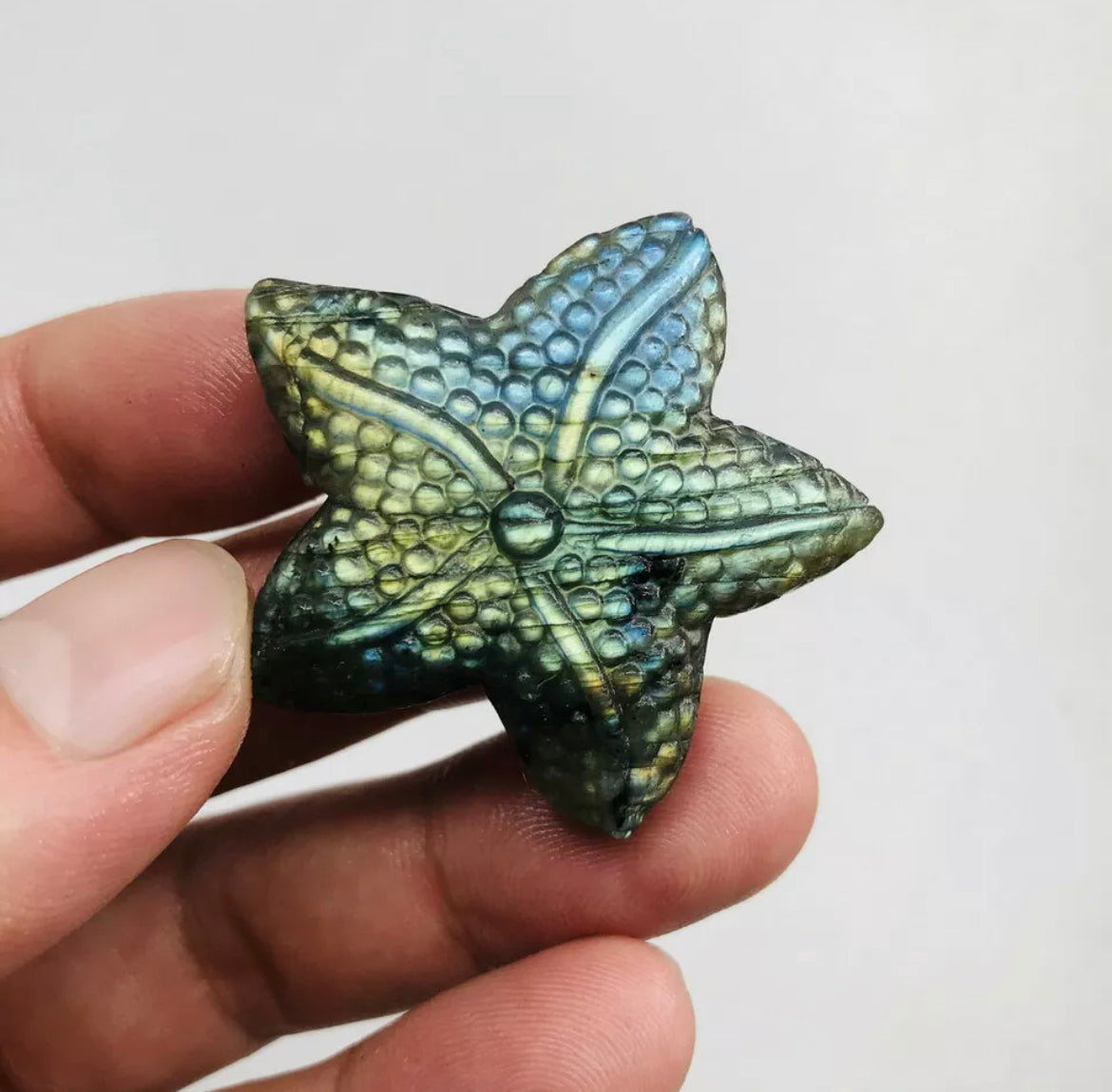 Natural Labradorite Starfish Crystal