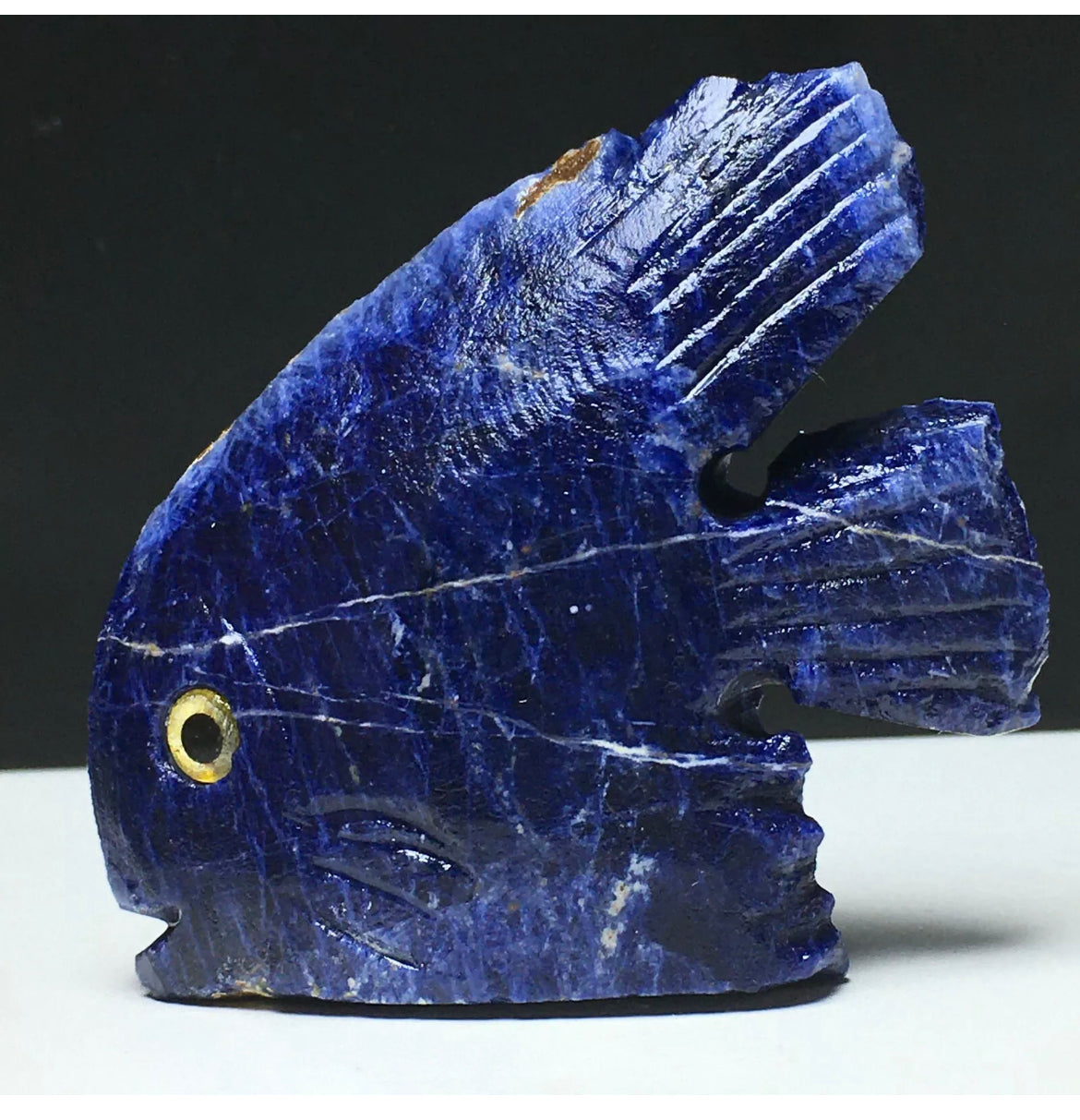 Natural Sodalite gemstone Fish Figurine