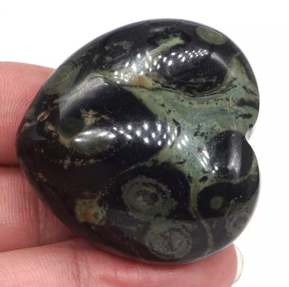 Natural Kambaba Jasper Heart